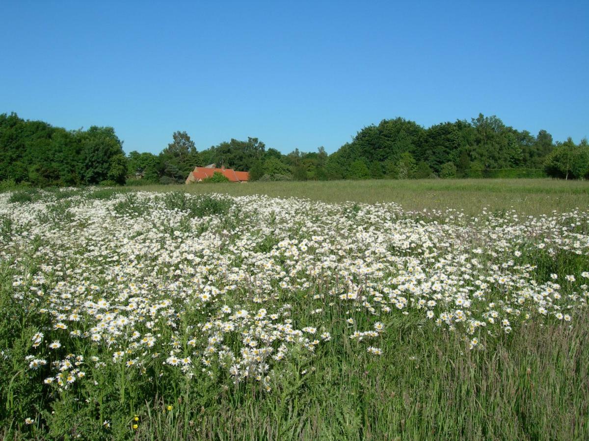 Heath Farm Holiday Cottages Swerford Ngoại thất bức ảnh